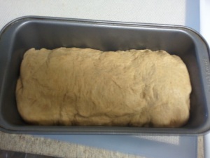 Bread dough in a bread pan.
